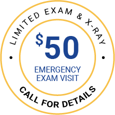 $50 Emergency Exam special